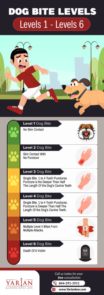 Dog Bite Levels and When To Hire An Attorney