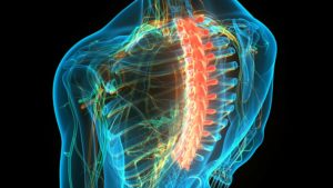 Burbank Spinal Cord Injury Lawyer